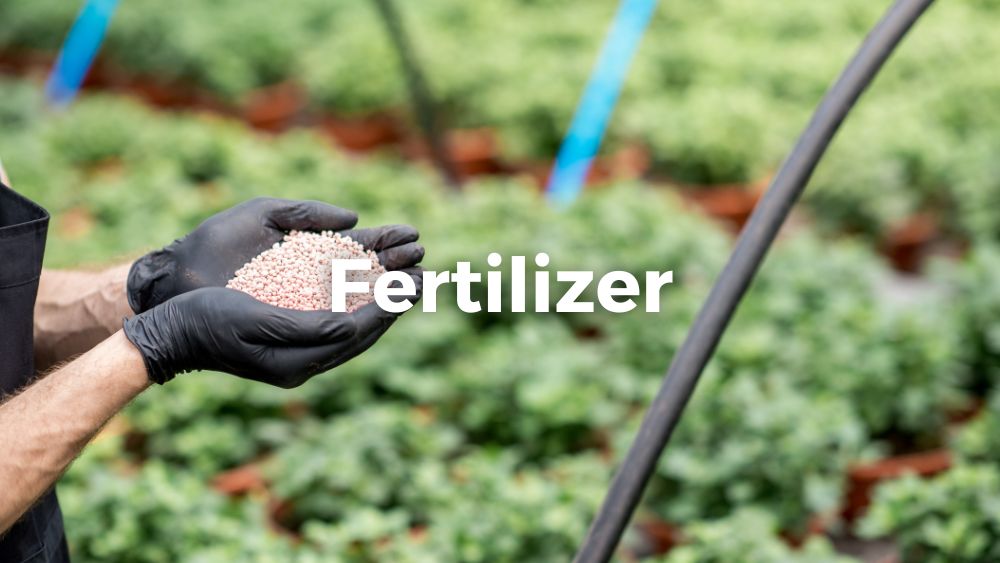 farmer holding mineral fertilizers with green plants on the background