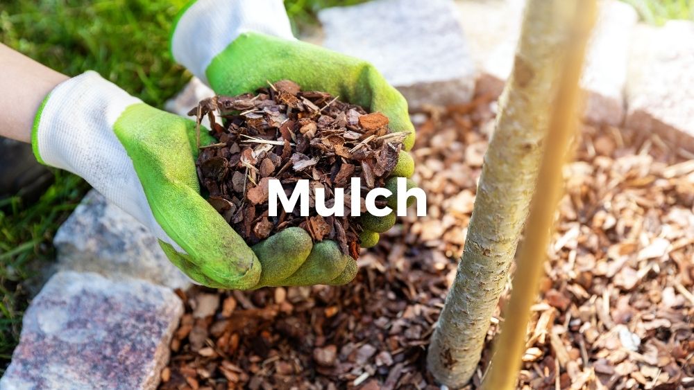 mulching flowerbed with pine tree bark mulch