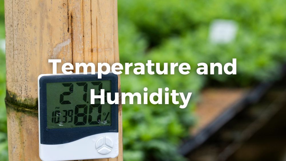 measuring temperature and humidity with green plants background