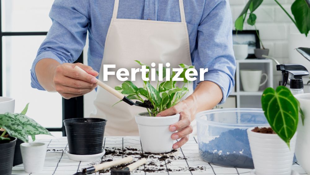 man adding fertilizer to a pot