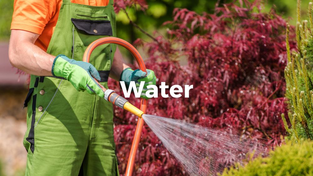 man watering plants outdoor