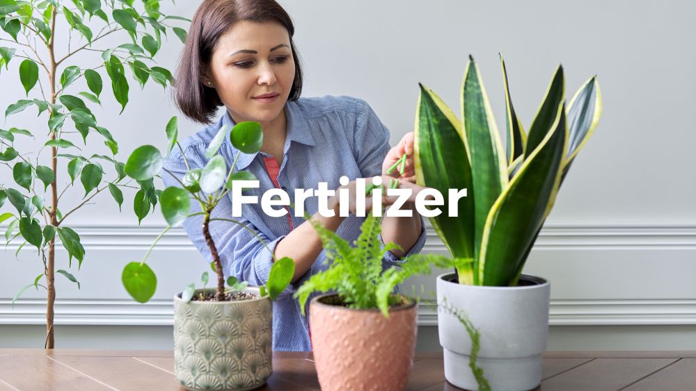 female fertilizing potted plants